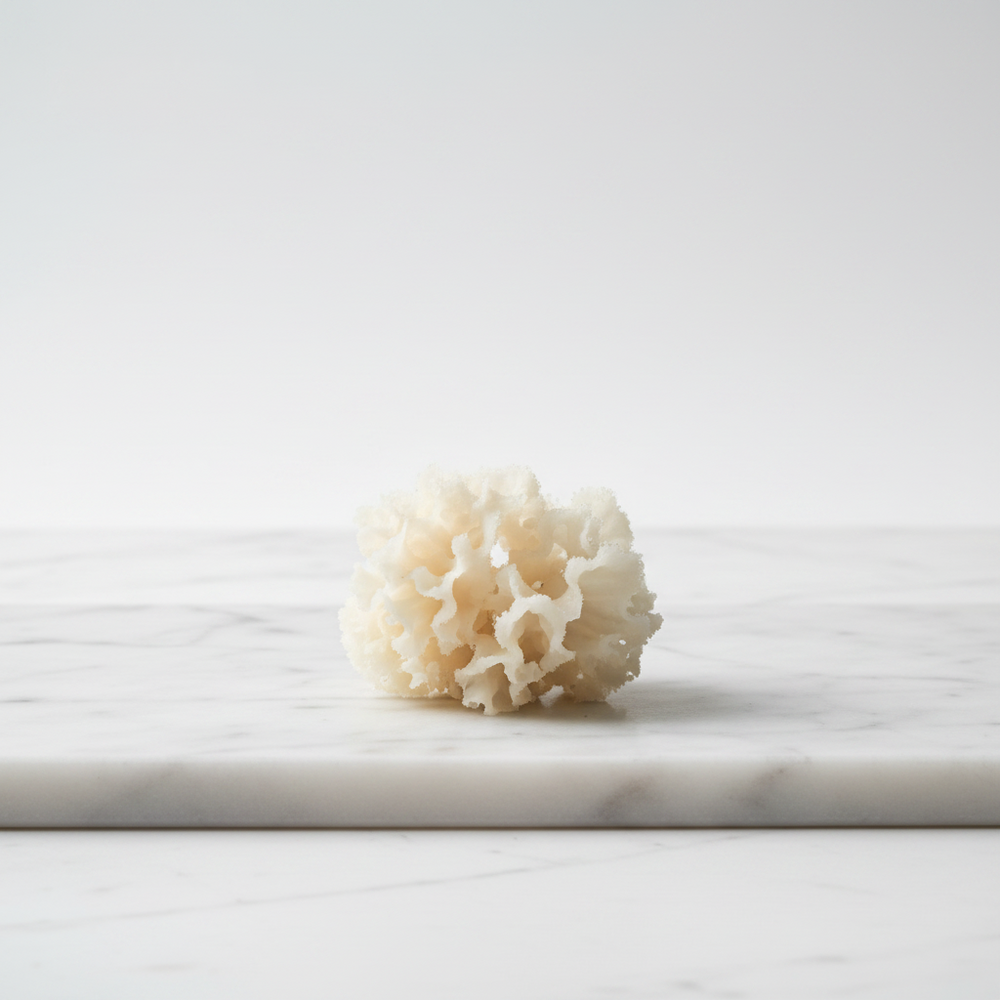 Snow Mushroom Extract